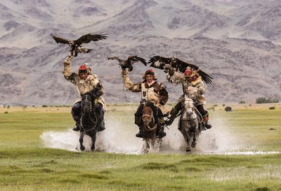 Marie Laure Stone (England) - Hunting with eagles